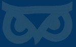 msgsu logo blues